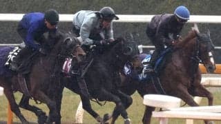 【チューリップ賞】武豊騎手と初コンビのアランカールは３頭併せでラスト１１秒５　斉藤崇調教師「取りこぼせない一戦」