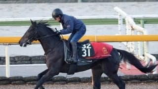 【注目馬動向】先週初Ｖの５・２億円馬サガルマータは青葉賞へ　福永調教師「良くなってたね」