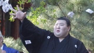 熱海富士や翠富士の活躍で期待高まる静岡県出身力士の初賜杯