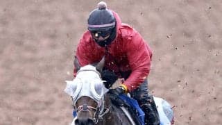 【オーシャンＳ】ファンダムは初めての６ハロン　辻調教師「ついていけるスピードはある」３頭併せで先着