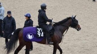 バステール、弥生賞1週前追い切り速報/栗東トレセンニュース