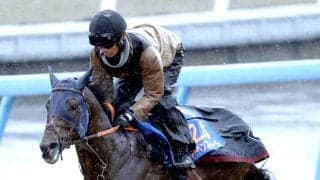 【中山記念】重賞２勝の中山の舞台に替わって本領発揮だ！レーベンスティール　田中博調教師「今回も落ち着きはカギ」