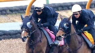 【チューリップ賞】３連勝で桜の女王候補に名乗り上げる！ソルパッサーレ　浜中俊騎手「いい結果を出してクラシックへ」