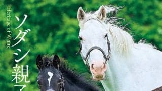 人気アイドルホース・ソダシ＆イクイノックスの初子　“歴史的血統を受け継ぐ親子”に密着した写真集の発売決定！　講談社