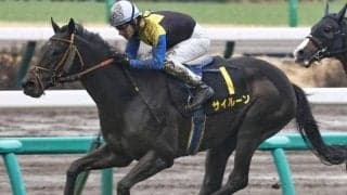【中山記念】ディープインパクト産駒が17年連続のJRA重賞制覇へ 良血サイルーンが一発狙う