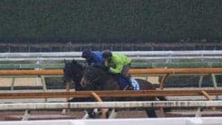 ケリフレッドアスク、中山牝馬S1週前追い切り速報/栗東トレセンニュース