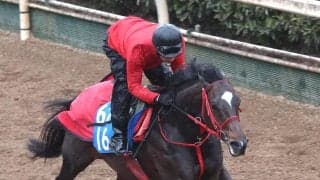 【中山記念】エコロヴァルツが待望の初タイトルへ軽快に登坂　牧浦調教師「硬さが抜けてきた」