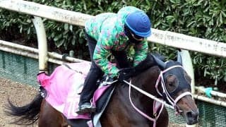 【チューリップ賞】阪神ＪＦ３着のタイセイボーグは活気満点の動き　松下調教師「権利をとって桜花賞に向かいたい」