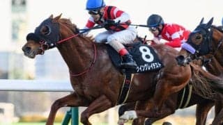 【オーシャンS】レース史上最高齢Vへ ウイングレイテストが2年4カ月ぶりの重賞2勝目狙う