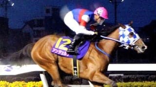【浦和競馬】アンジュルナがユングフラウ賞を６馬身差の圧勝　桜花賞最有力候補へ