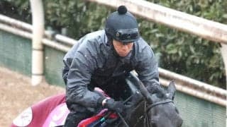 【チューリップ賞】中内田調教師「この子はこの子として」リバティアイランド半妹コニーアイランドは坂路で好時計　