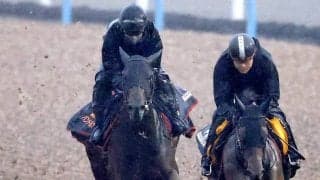 【報知杯弥生賞・１週前】パントルナイーフ重賞連勝へ余力十分の動き　陣営はバランス、精神面の上昇を確信