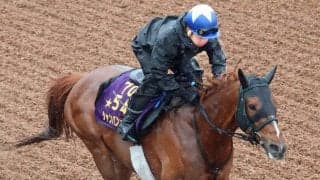 【中山記念】復調の兆し見せたシャンパンカラー　最終追い切りに岩田康誠騎手が好感触「前回よりもっといい」