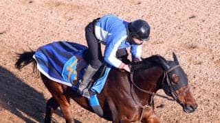 【中山記念】穴気配プンプン！？ショウナンマグマに陣営「長いこと見ているけど、具合はかなりいい」と手応え