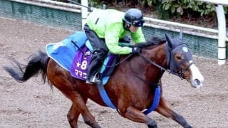 【オーシャンＳ】ソダシの全妹ママコチャ７歳初戦は得意舞台から始動　池江調教師「そんなに老けた感じはしない」