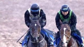 【オーシャンＳ】インビンシブルパパが好気配　伊藤大調教師「半年遅れの馬。トモがだいぶしっかり」