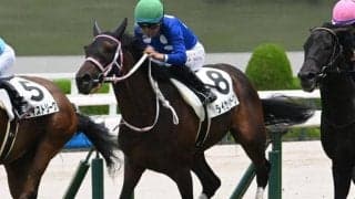 【チューリップ賞展望】GI組で十分な間隔を空けたタイセイボーグが中心