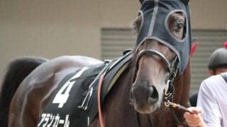 武豊騎手と新コンビのアランカール チューリップ賞初の母仔制覇狙う