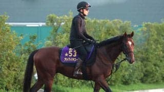 【注目馬動向】２４年に朝日杯ＦＳ制覇　アドマイヤズームは読売マイラーズＣで復帰へ　Ｇ１勝ちの舞台で復活目指す