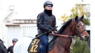 【注目馬動向】すみれＳを制したラージアンサンブルは皐月賞へ