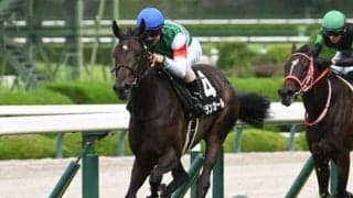 【チューリップ賞出走馬・騎手確定】アランカール＆武豊騎手、タイセイボーグ＆西村淳也騎手など15頭