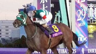 【川崎競馬】優秀競走馬・優秀厩舎関係者の受賞馬・者が決定　ホーリーグレイルが最優秀競走馬