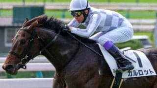 半兄はマイルCS覇者のステルヴィオ カルロットが武豊騎手で初勝利なるか