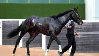 【注目馬動向】無傷２連勝のクレパスキュラー　次走スプリングＳの鞍上は引き続きルメール騎手