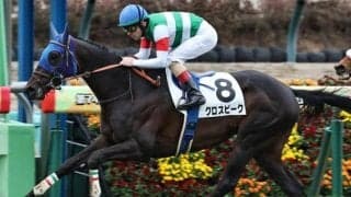 名牝系出身のグロスビーク C.ルメール騎手の手綱で初ダート