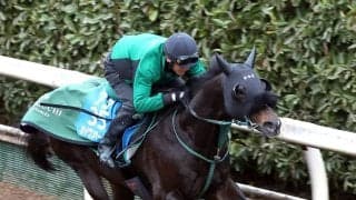 【中山記念】“鉄人”幸騎手と３戦ぶりコンビ復活！セイウンハーデスは加速スムーズ　橋口調教師「しまいは楽にいい時計」