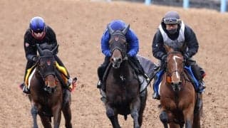 【報知杯弥生賞・１週前】ライヒスアドラーは最速タイをマーク　皐月賞出走権取りへ上原佑調教師「だいぶ上がってきた」