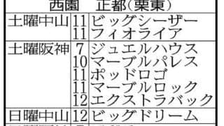 「こんなに使ったことあったっけ？」西園正調教師ラストウィークは１８頭出し！オーシャンＳでの有終Ｖ狙う