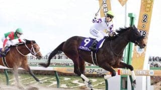 ペプチドナイルがアロースタッドで種牡馬入り　フェブラリーＳ制覇時の藤岡佑介騎手引退週に発表