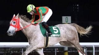 【スプリングＣ】強すぎる一人旅！単勝１・０倍アストラビアンコが重賞３連勝　細川智史騎手「自分との戦いという感じで乗りました」