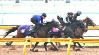 【チューリップ賞・データ埋蔵金】前走阪神ＪＦ組、２勝以上、さらに１番人気ならアランカールの頭は堅い