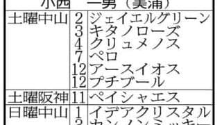 ラストは１１頭が出走　３月３日に引退を迎える小西一男調教師「長い間、最後まで無事にやれて良かった」