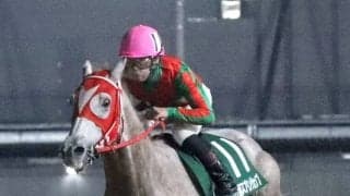 ２戦連続単勝１・０倍で圧勝「地方の器じゃねぇ」「予定調和」名古屋最強馬にネット歓喜　アストラビアンコがスプリングＣ制覇