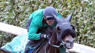 【中山記念】セイウンハーデス加速いいです　橋口調教師納得「しまいは楽にいい時計で動けていた」