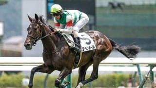 【チューリップ賞枠順確定】アランカールは7枠12番、タイセイボーグは7枠13番