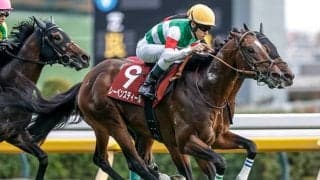 【中山記念枠順確定】レーベンスティールは4枠5番、チェルヴィニアは4枠6番