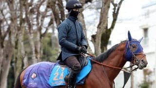 【中山記念】ルメール騎手とコンビ復活のチェルヴィニアは４枠６番　実績馬レーベンスティールは４枠５番