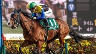 【オーシャンS枠順確定】ママコチャは7枠14番、ルガルは3枠5番