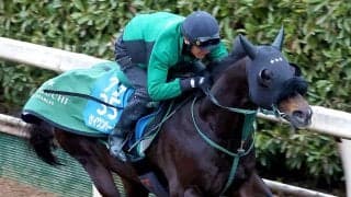 【中山記念】セイウンハーデスは追い切り翌日も元気いっぱい　橋口調教師「今回は前に壁を作って運ぶ形で」