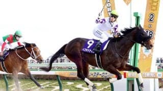 引退、種牡馬入りするペプチドナイルに武英智調教師がねぎらいの言葉「頑張ってくれました。雄大な馬が出てくるのでは」