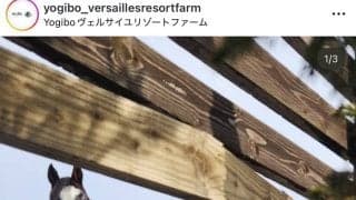 「大谷に負けない」「フルスイング」２００２年ダービー馬の暴れっぷりにネット騒然　タニノギムレットが牧柵を連続破壊！