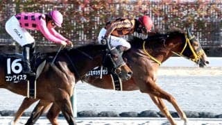 ２３年報知新聞社杯エーデルワイス賞制覇のモズミギカタアガリが引退　木村牧場で繁殖入りへ