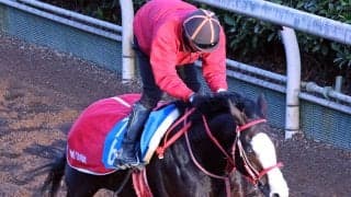 【ゴドルフィンマイル】シンフォーエバー、オメガギネス、ビダーヤの関西馬３頭が招待を受諾