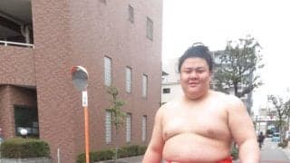 義ノ富士がタイでの人生初体験を告白　ゾウに乗りトラの頭をなで大興奮　次は人生初の三役に挑む