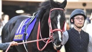 セレクト4.1億円のホウオウプロサンゲ 史上最高額のJRA障害勝ち馬となるか