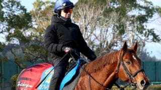 【オーシャンＳ】９歳馬ウイングレイテストは希望通りの内枠ゲット　「いい時の冬場の感じになった」